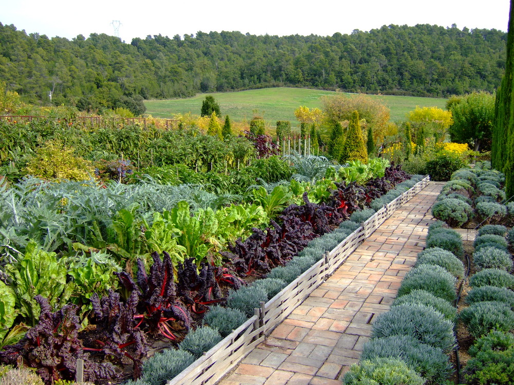 Gemüsegarten in der Provence - Un potager en Provence