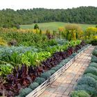 Gemüsegarten in der Provence - Un potager en Provence