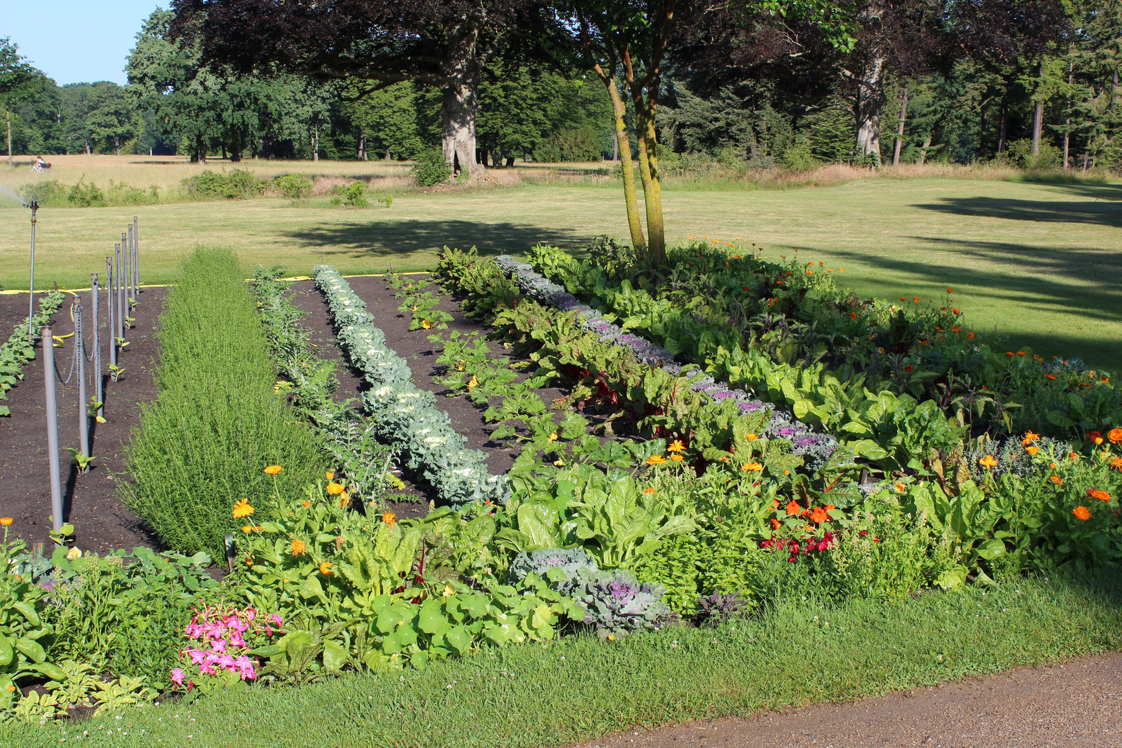 Gemüsegarten vor den Römischen Bädern Foto & Bild park, potsdam