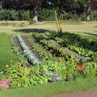 Gemüsegarten vor den Römischen Bädern 