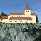 Gemüseinsel Reichenau