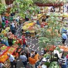 Gemüsemarkt in Funchal