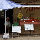 Gemüsestand (Tonosi, Panama)