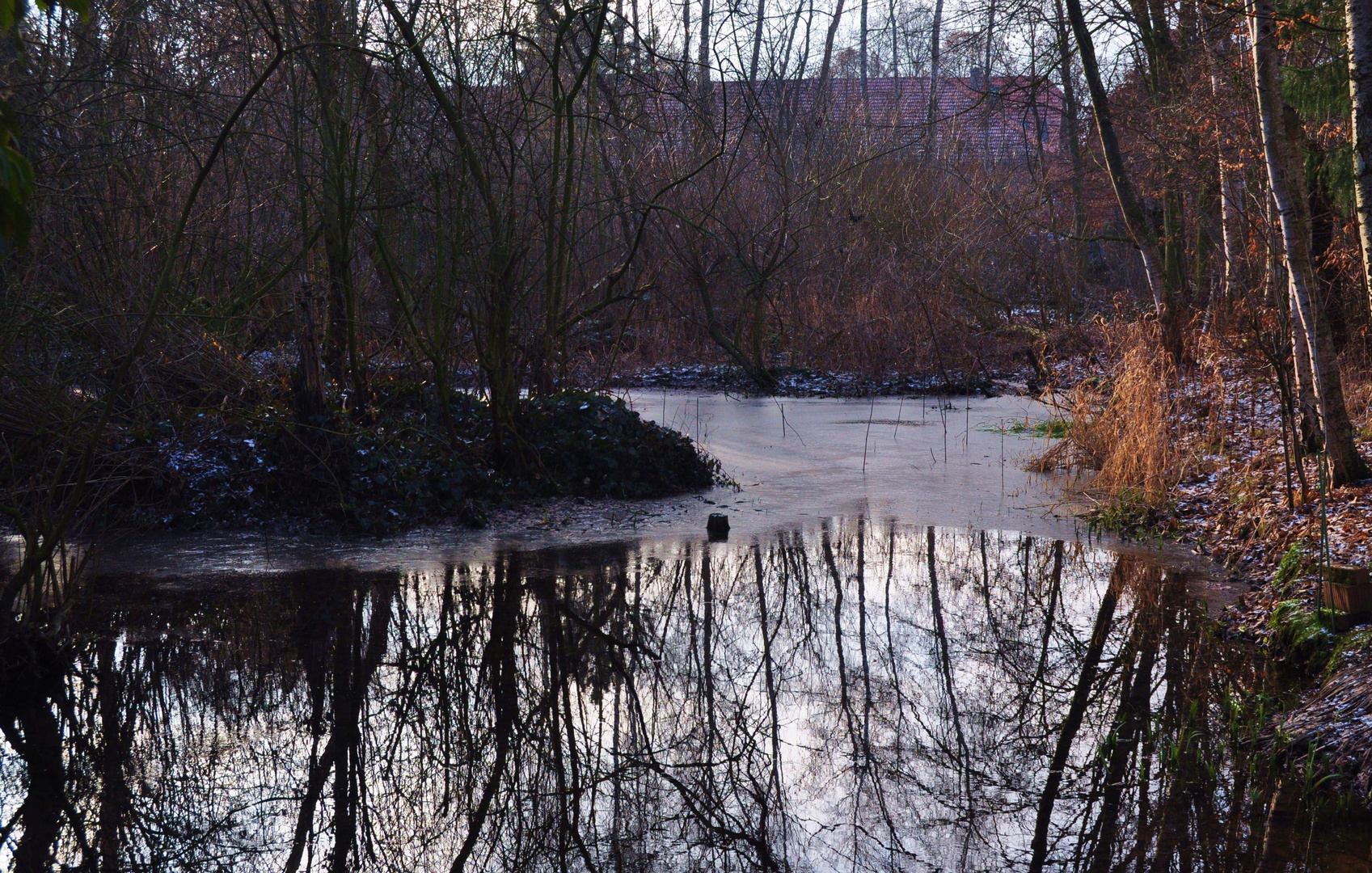 Gemütlich am Teich