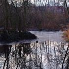 Gemütlich am Teich