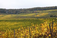 Gemütlich durch den Weinberg