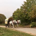 gemütlich durch die Weinberge