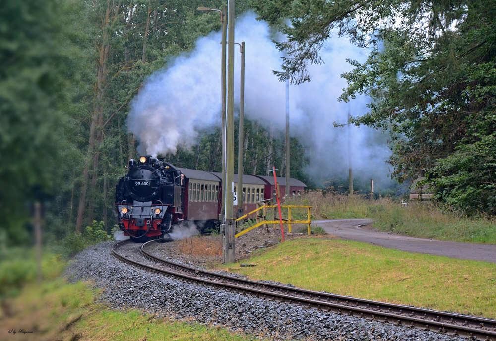 gemütlich durch Wald und Flur