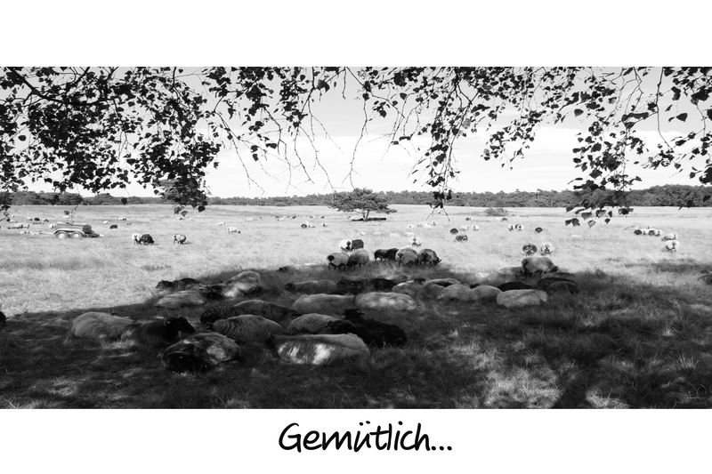 Gemütlich... Haltern am 05.08.2007