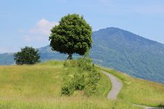 Gemütlich im Schatten ...