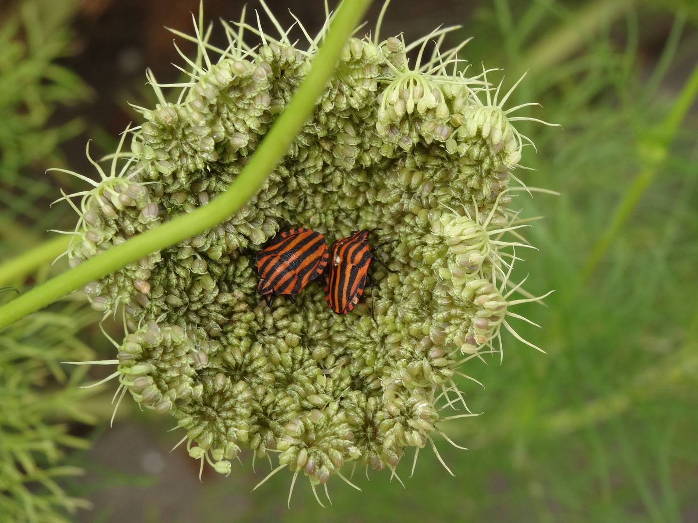 Gemütlich kuscheln