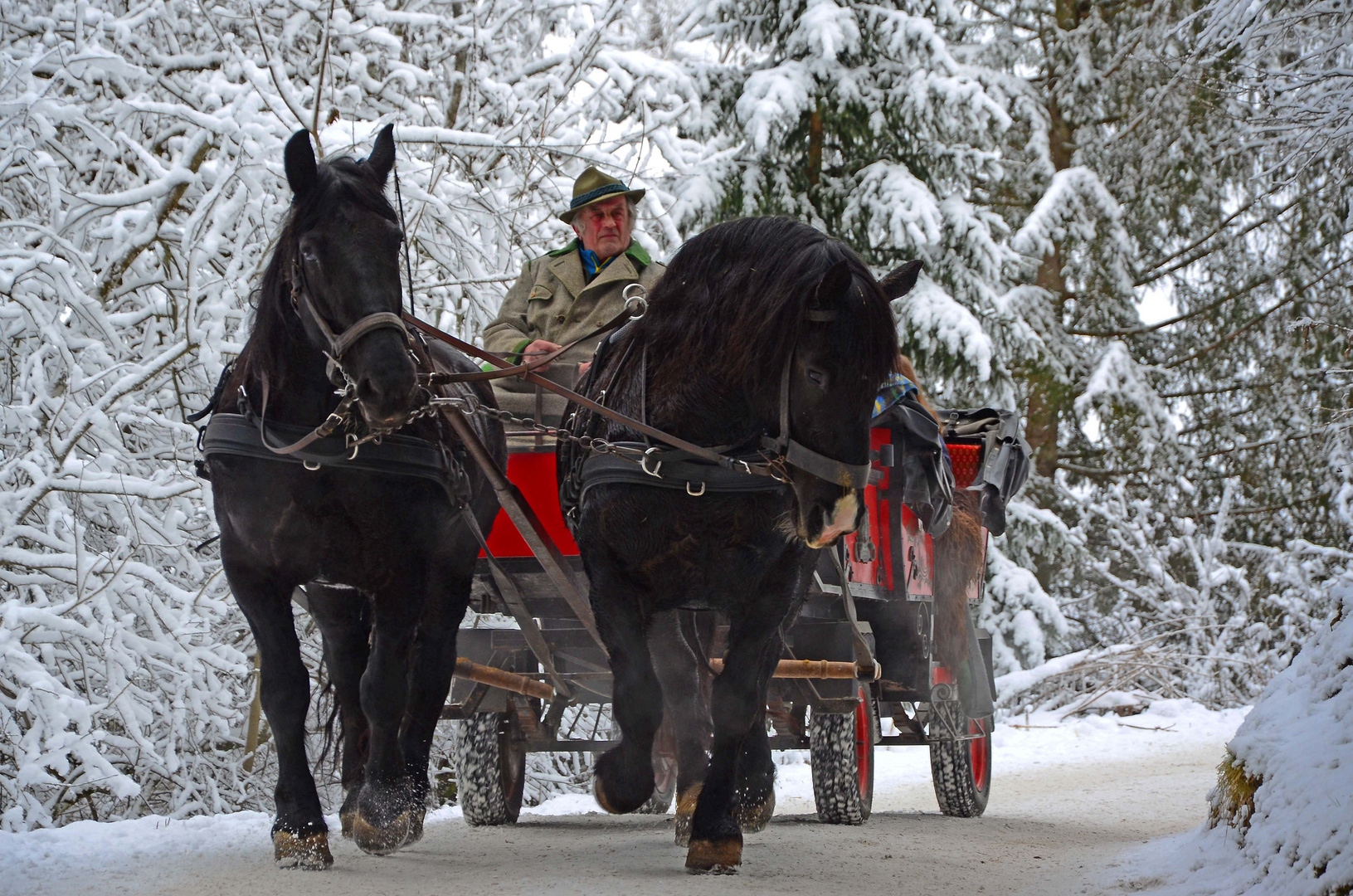 Gemütliche Kutschenfahrt im Kötschachtal - Bad-Gastein