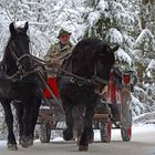 Gemütliche Kutschenfahrt im Kötschachtal - Bad-Gastein