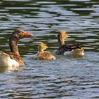 Gemütliche Rund auf dem See