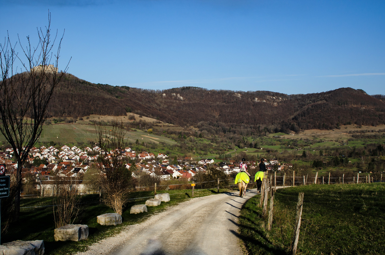 gemütlicher Ausritt