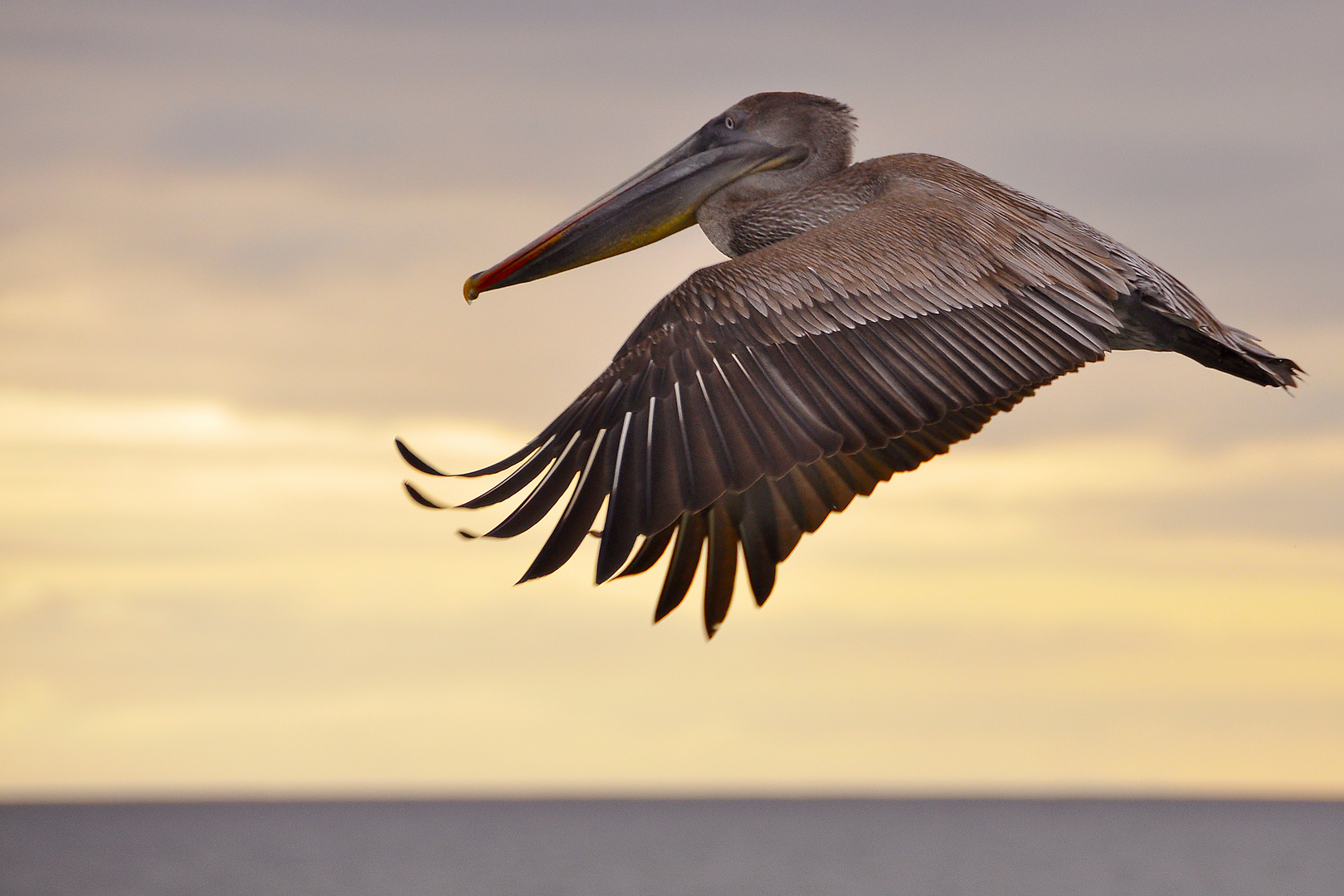 gemütlicher Heimflug