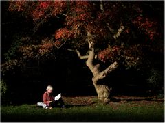 Gemütlicher Herbst...