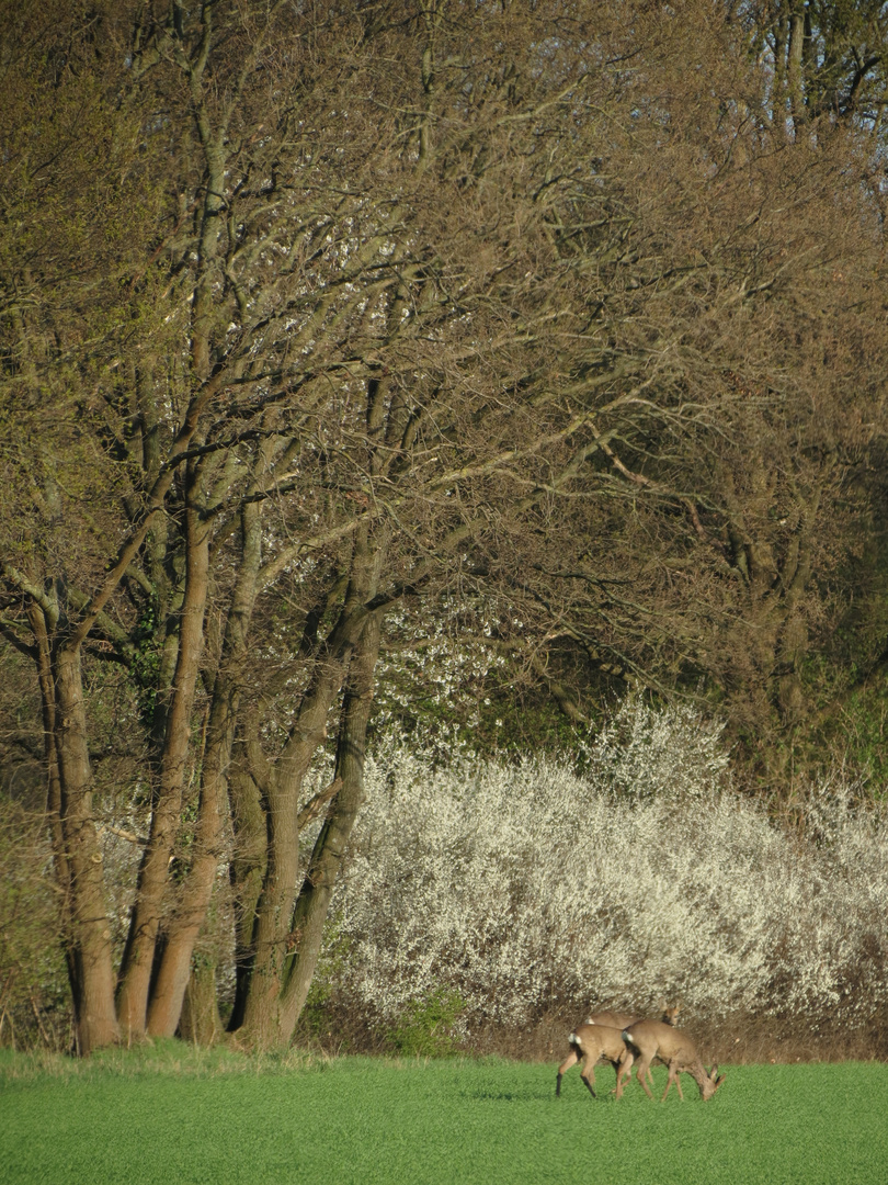 Gemütliches Beisammensein