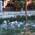 ...gemütliches Plätzchen am Wasser