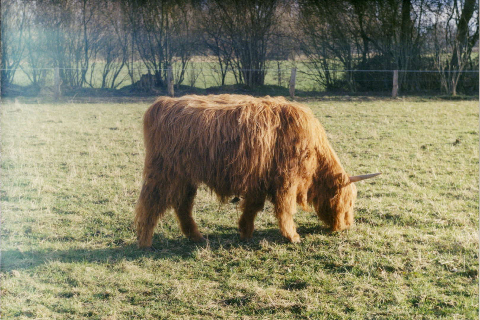 Gemütlichkeit