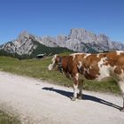 Gemütlichkeit in den Bergen