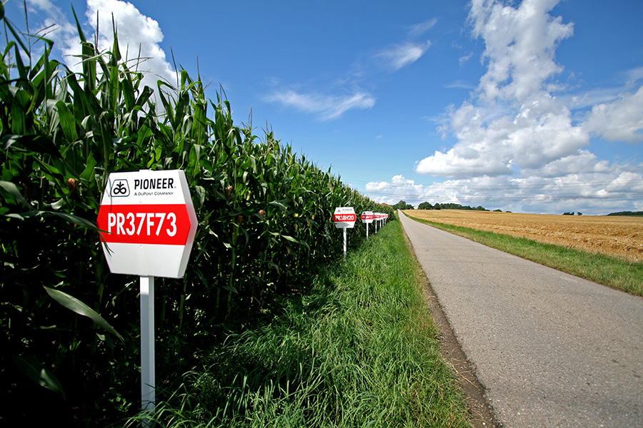 Gen-Landschaft