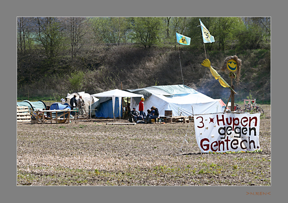 Gen oder nicht Gen