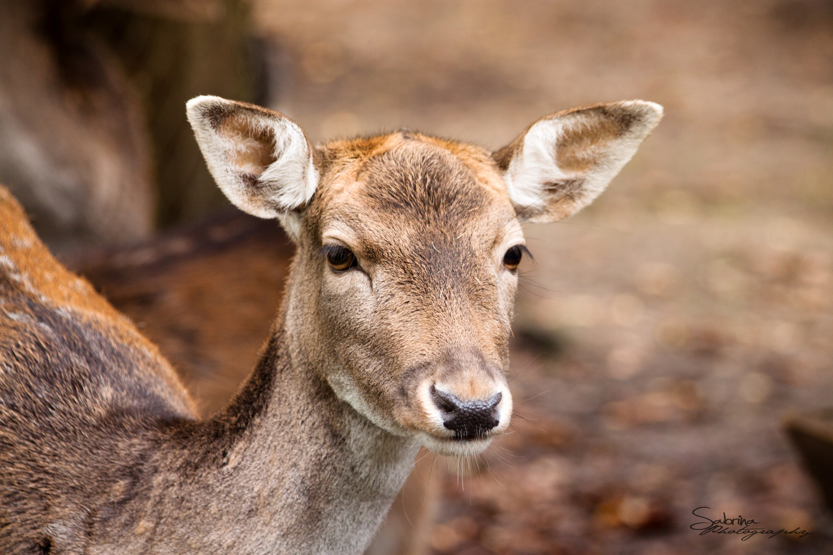 genau im blick =)