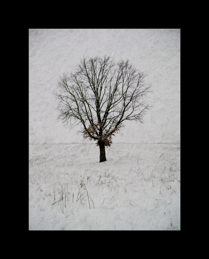 Genealogically Winter