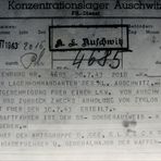 . . . genehmigung vom 30.7.1943 . . .