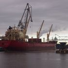 General Cargo Ship Federal Maas