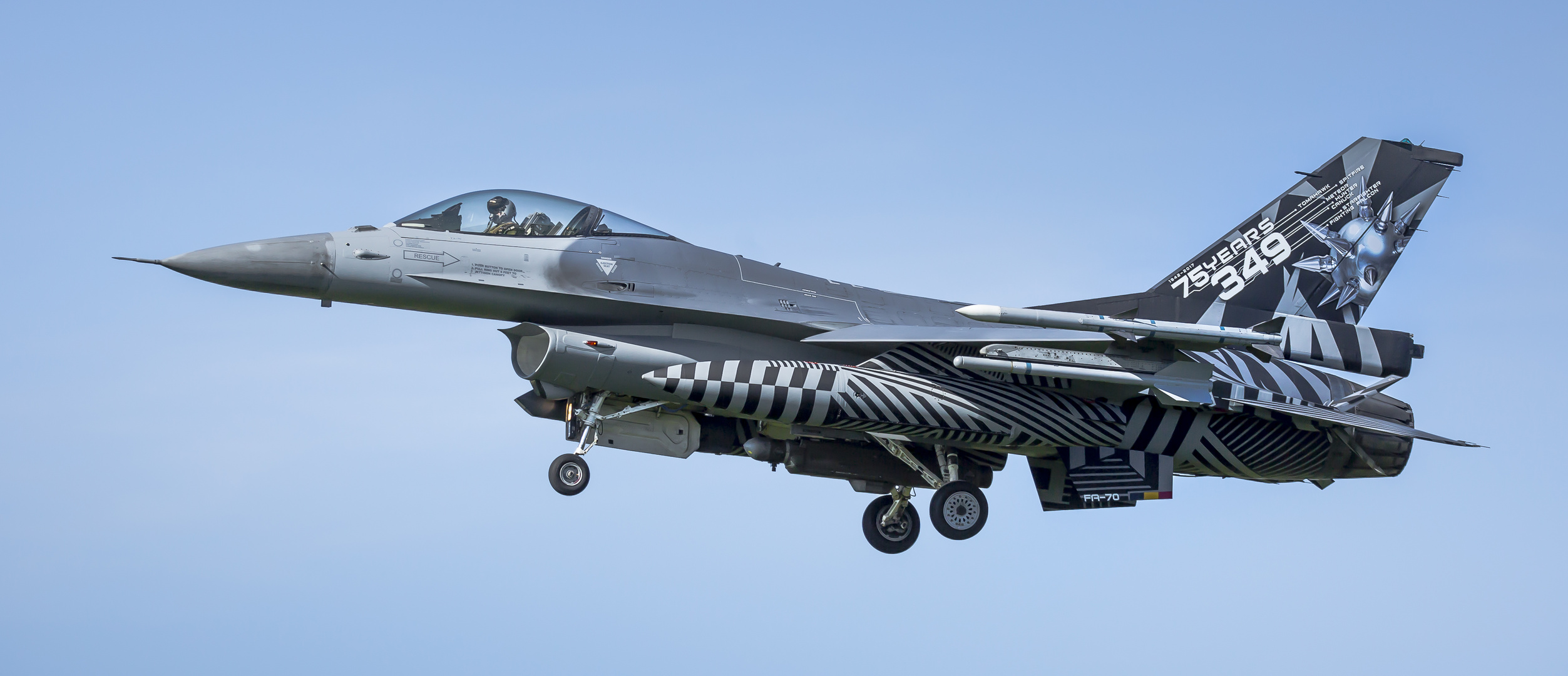 General Dynamics F-16AM Fighting Falcon