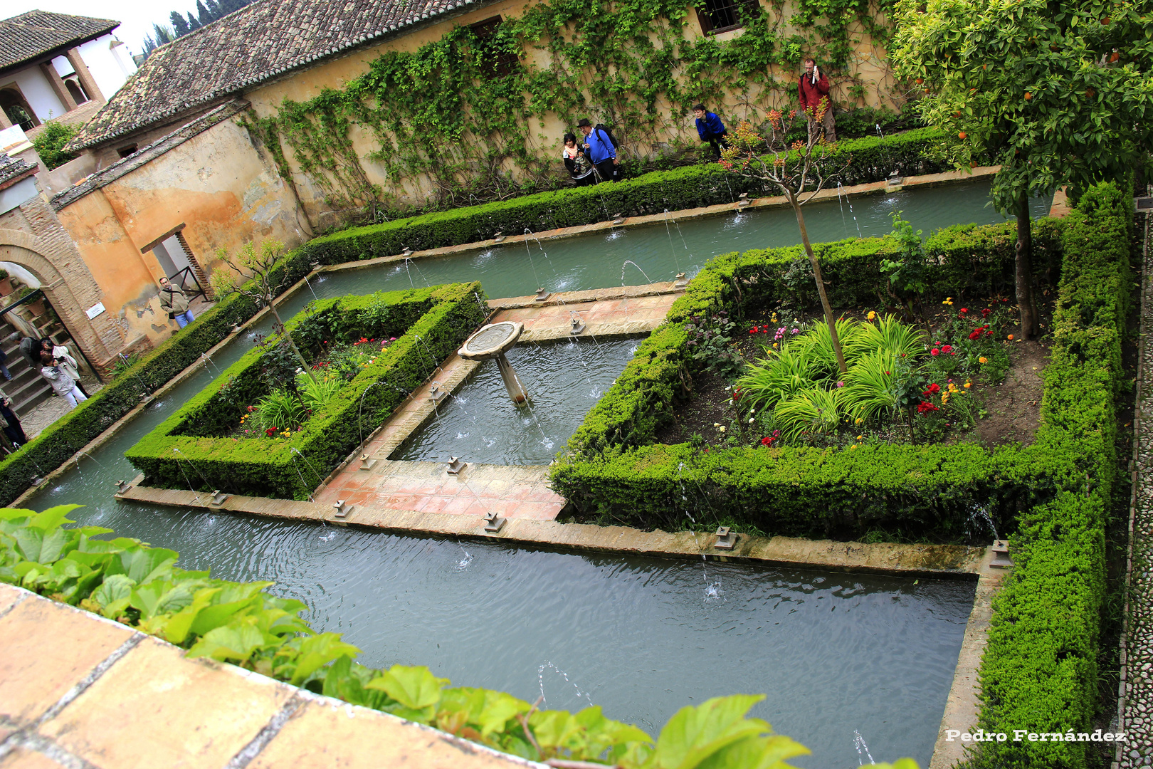 Generalife - Patio de los Cipreses