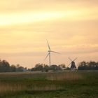 Generation Windmühle