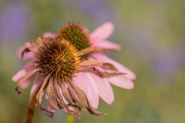 - Generationenübergreifend -