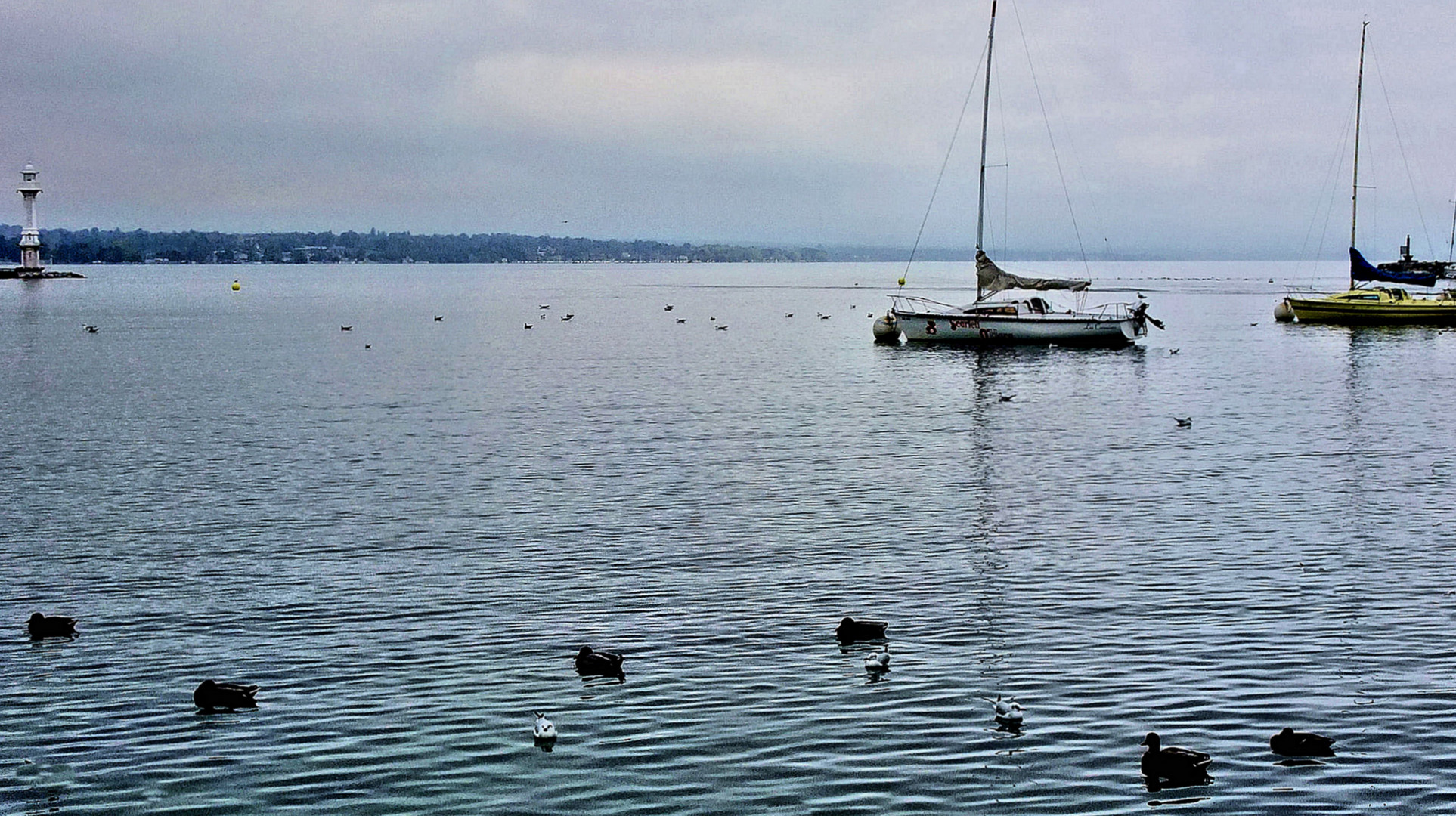 Genevoise photo et image europe, schweiz & liechtenstein, paysages