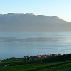 Genfersee am Abend