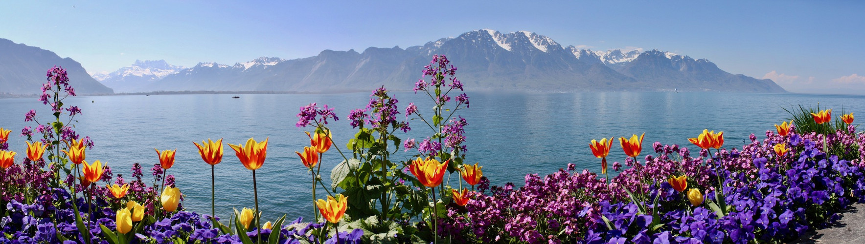 Genfersee mit Blumen