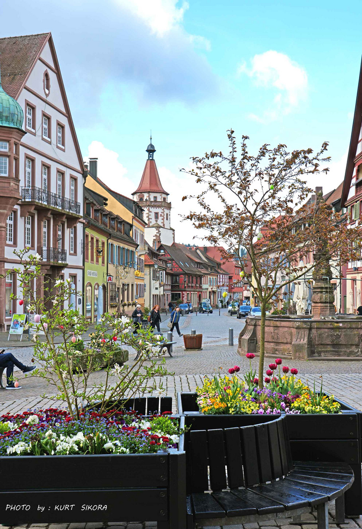 Gengenbach /Kinzigtal im Frühling