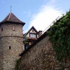 Gengenbach - Stadtmauer mit Turm