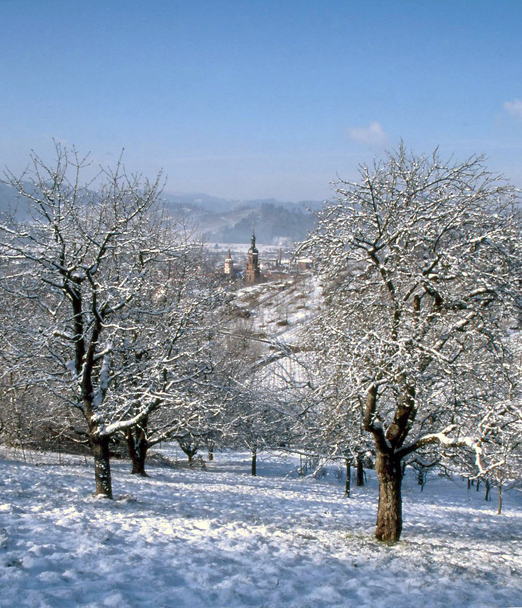 Gengenbach vom Bergeleweg aus.