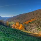 Genialer Herbsttag auf dem Belchen