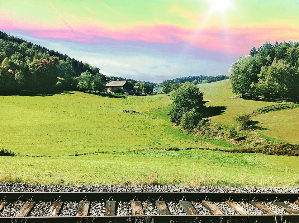 Genialer Spätnachmittag im Waldviertel