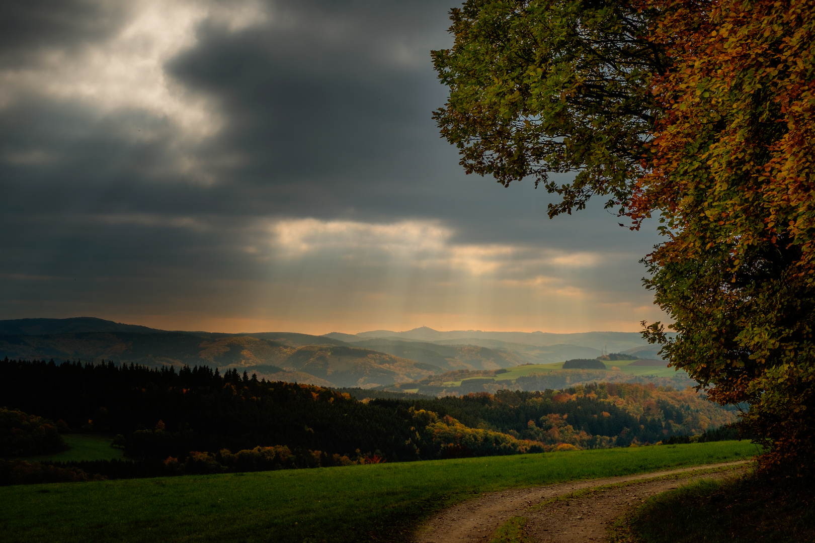 Geniales Licht über der Hocheifel