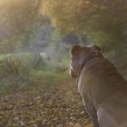 Genieß die letzten sonnenstrahlen bald wird’s kalt