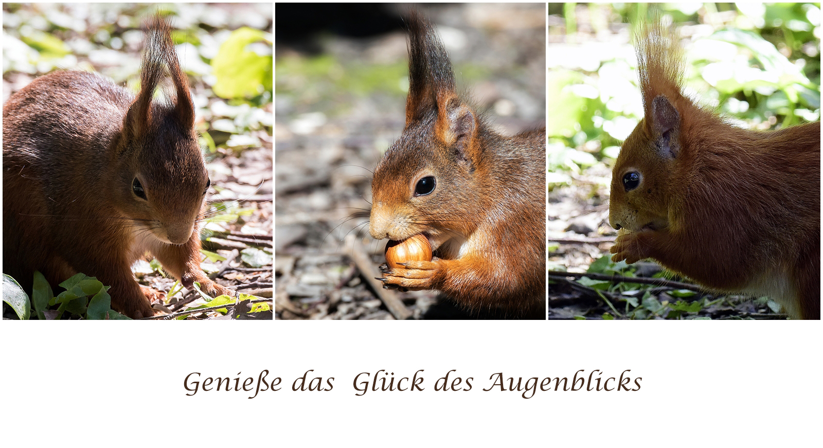 Genieße das Glück des Augenblicks