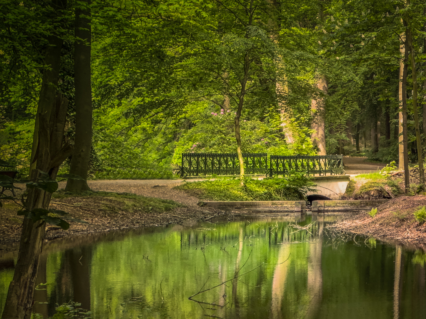 Genieße die Natur 