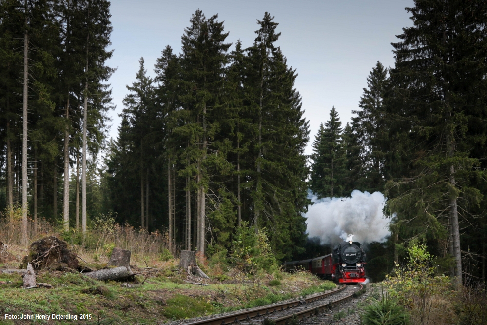 Genieße die Natur - Sorge, Oktober 2015