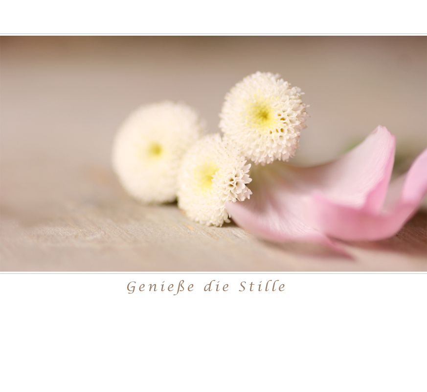 Genieße die Stille.