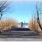 Genießen am Ammersee